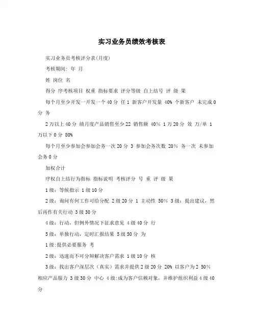 实习业务员绩效考核表
