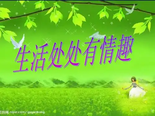 鲁教版思品七年级下册《生活处处有情趣》课件