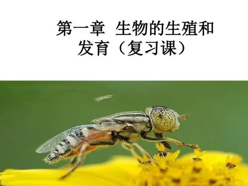 生物的生殖和发育PPT课件19 人教版