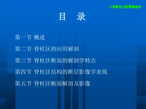 断层解剖学脊柱区