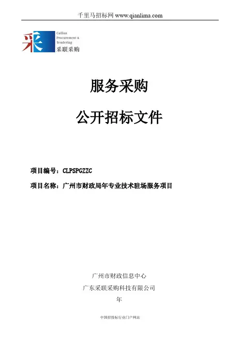 财政局专业技术驻场服务项目招投标书范本