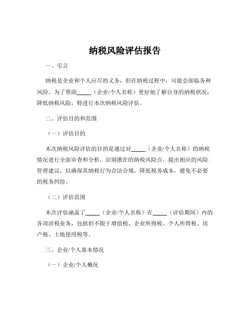 纳税风险评估报告