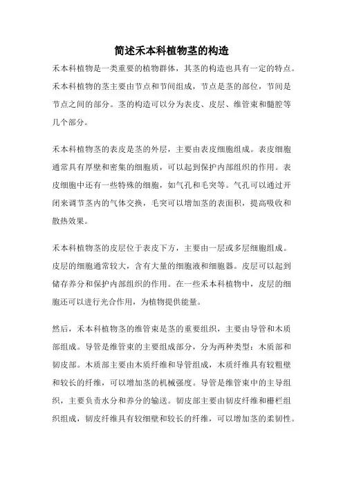 简述禾本科植物茎的构造