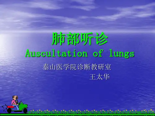 肺部听诊 ppt课件