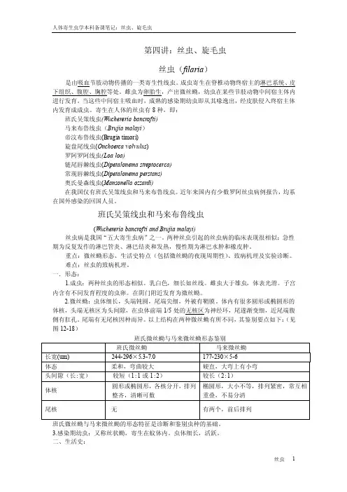 第四讲：丝虫