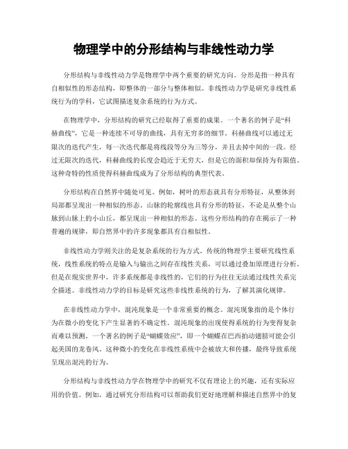 物理学中的分形结构与非线性动力学