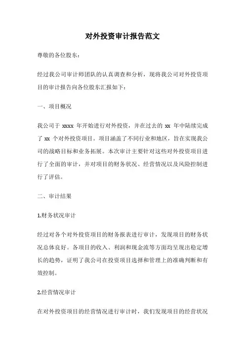 对外投资审计报告范文