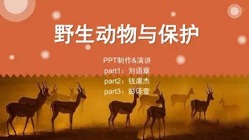 野生动物与保护(最终版)