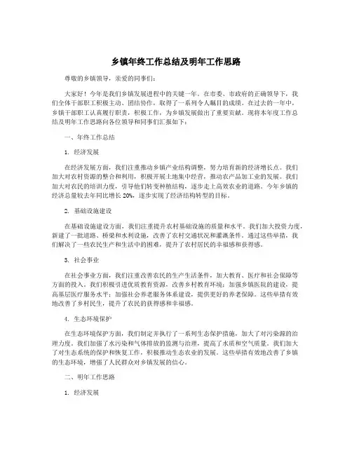 乡镇年终工作总结及明年工作思路