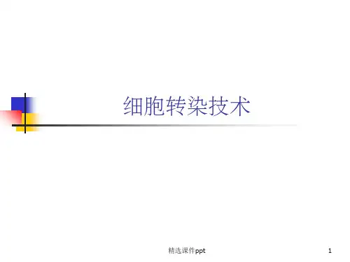 《细胞转染技术》PPT课件