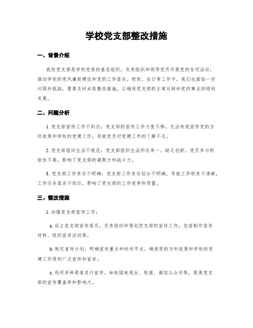 学校党支部整改措施