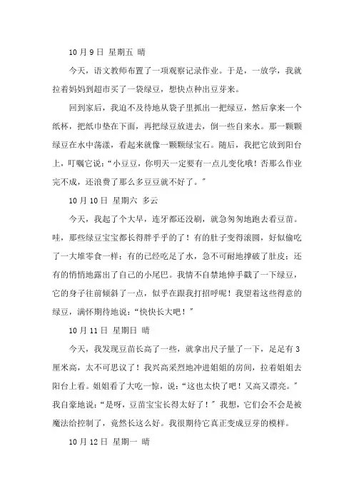 豆芽观察日记1精选