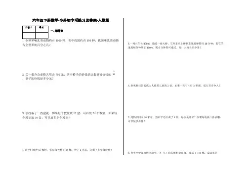 六年级下册数学试题-小升初专项练习及答案-C21-人教版