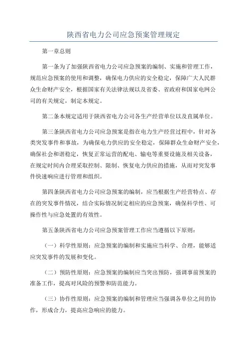 陕西省电力公司应急预案管理规定