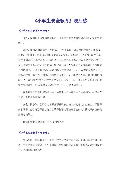 《小学生安全教育》观后感_4