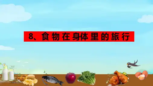食物在身体里的旅行ppt课件