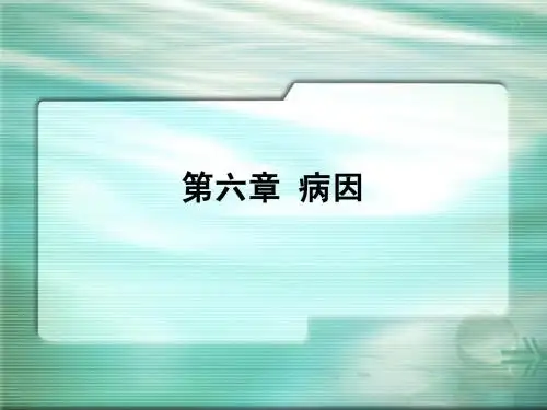 中医基础理论第六章