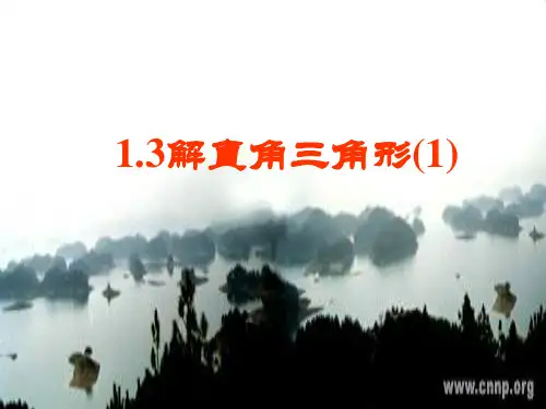 新浙教版九年级数学下册第一章《 解直角三角形(1)》优课件