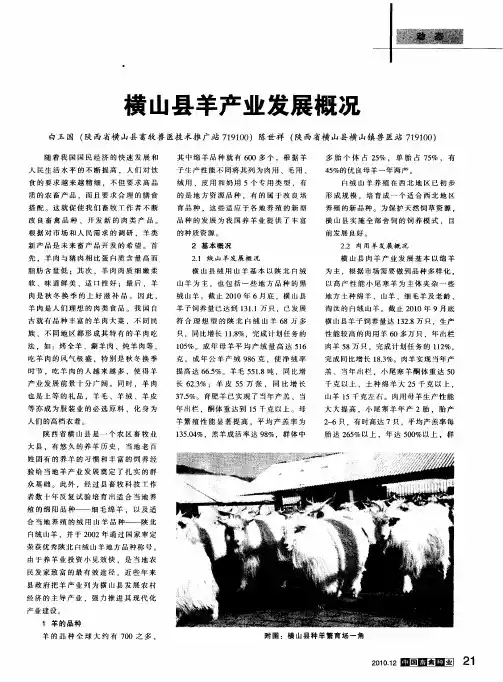 横山县羊产业发展概况