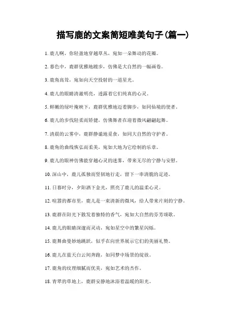 描写鹿的文案简短唯美句子(精选2篇)