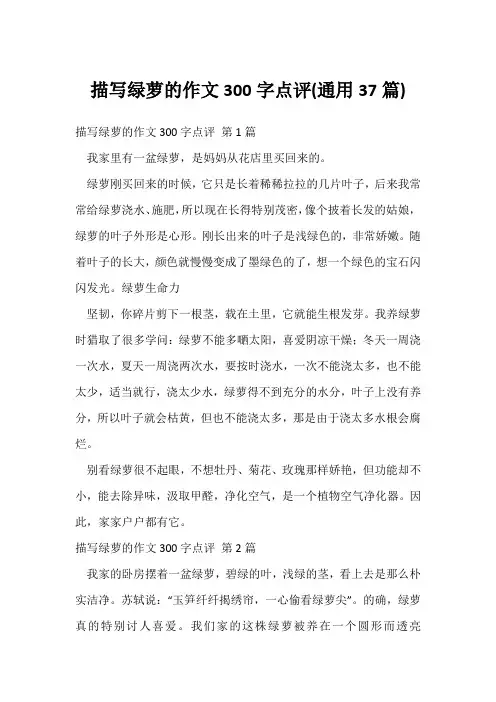 描写绿萝的作文300字点评(通用37篇)