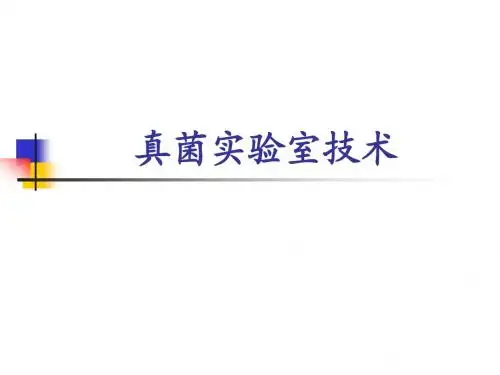 真菌实验室技术课件