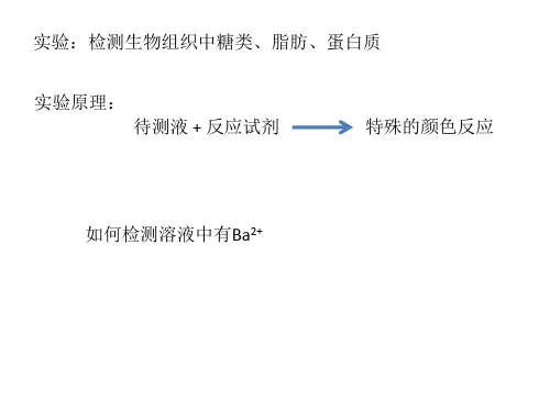 还原糖、蛋白质、脂肪的鉴定高一生物ppt课件