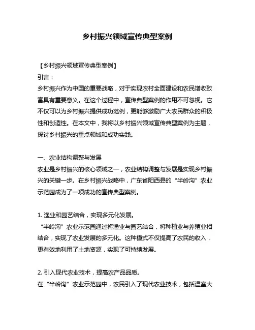 乡村振兴领域宣传典型案例
