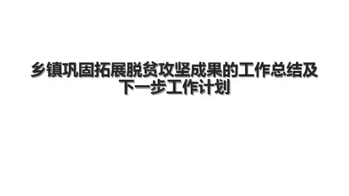 乡镇巩固拓展脱贫攻坚成果的工作总结及下一步工作计划