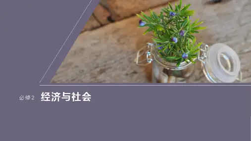 高考政治部编版一轮复习(必修二)课件大题攻略主观题对“民营企业”的考查