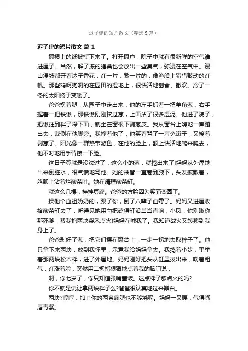 迟子建的短片散文（精选9篇）