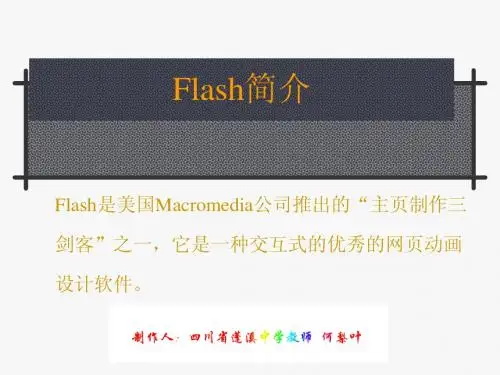 Flash简介