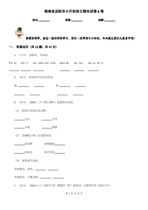 湖南省岳阳市小升初语文期末试卷A卷