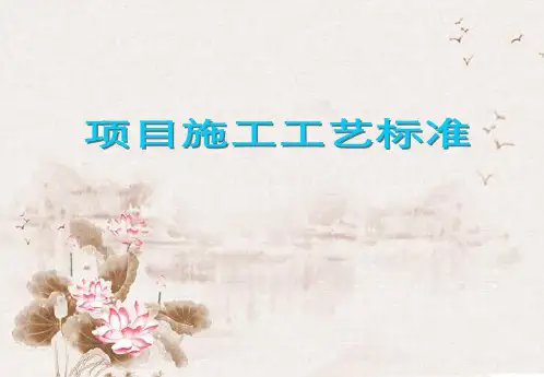 施工工艺标准