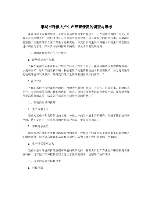巢湖市种粮大户生产经营情况的调查与思考