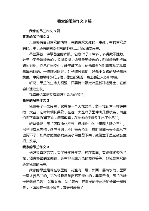 我家的吊兰作文8篇