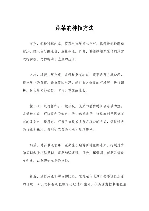 苋菜的种植方法