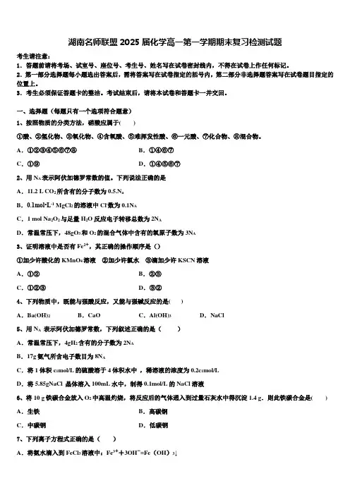 湖南名师联盟2025届化学高一第一学期期末复习检测试题含解析