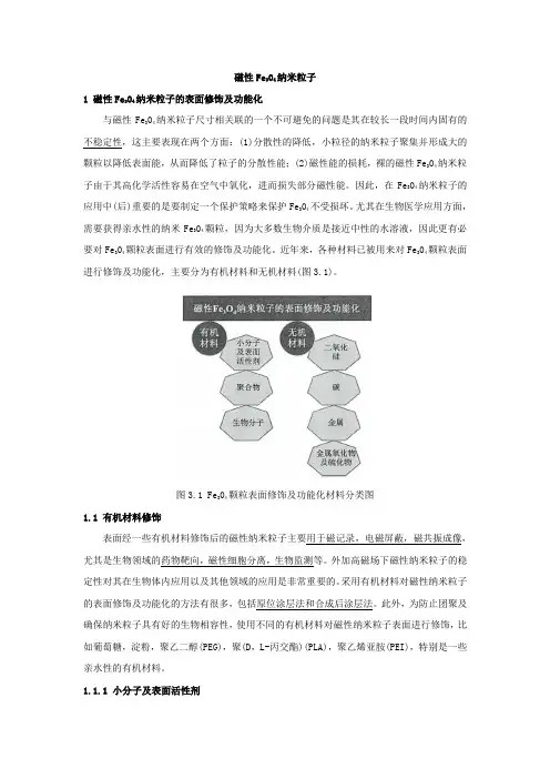 11.2 磁性Fe304纳米粒子
