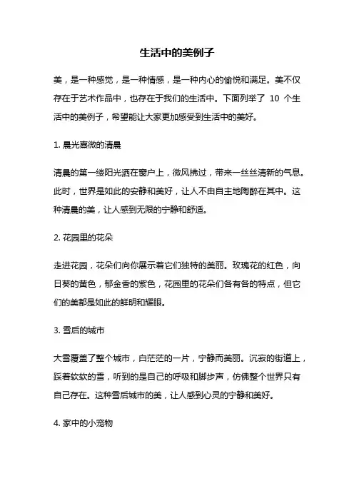 生活中的美例子