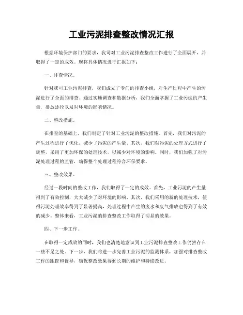 工业污泥排查整改情况汇报