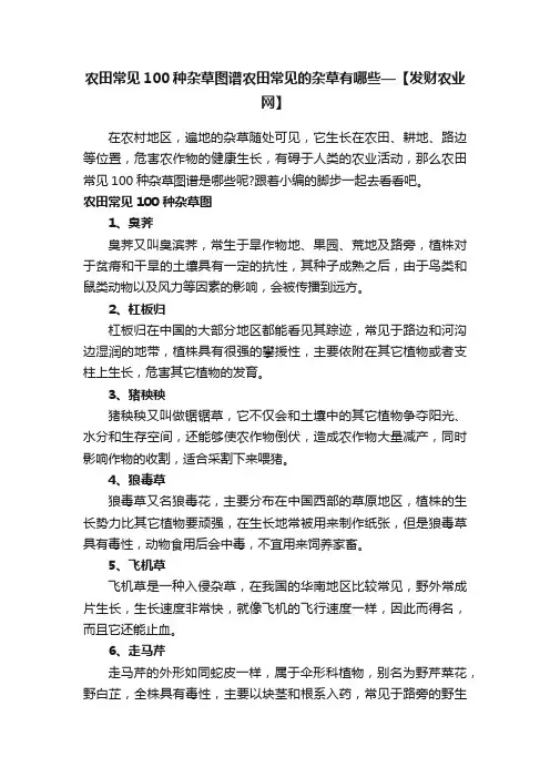 农田常见100种杂草图谱农田常见的杂草有哪些—【发财农业网】