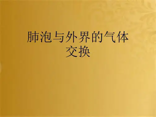 肺泡与外界的气体交换(共10张PPT)