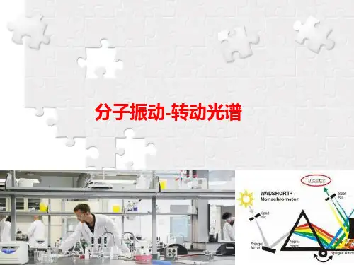 仪器分析原理5分子振动-转动光谱
