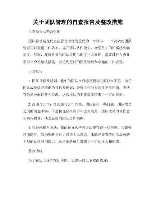 关于团队管理的自查报告及整改措施