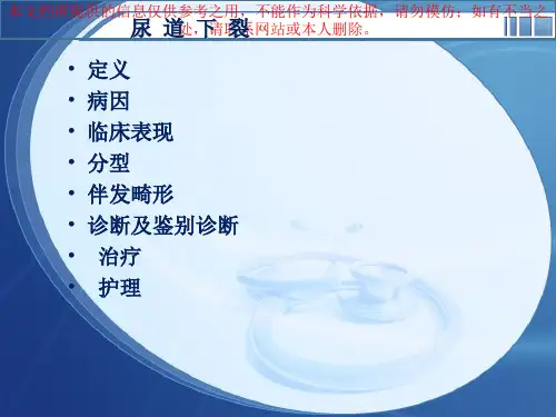 尿道下裂专题医疗讲座培训课件