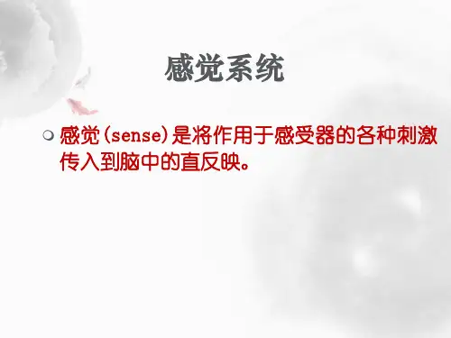 感觉功能检查ppt课件