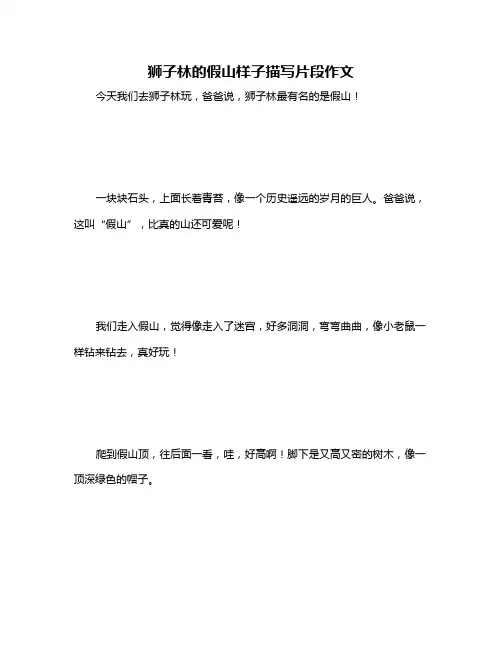狮子林的假山样子描写片段作文