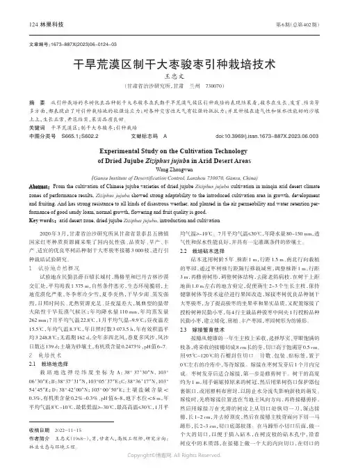 干旱荒漠区制干大枣骏枣引种栽培技术