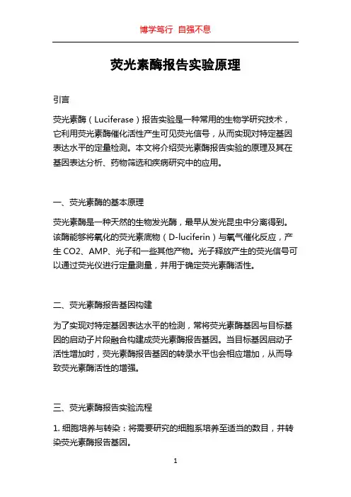 荧光素酶报告实验原理